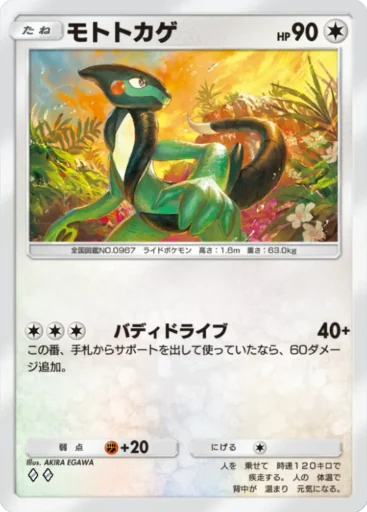 モトトカゲ
